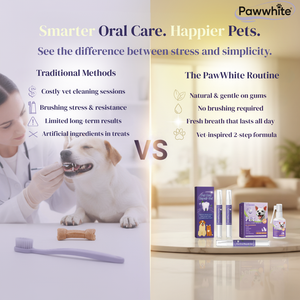 PawWhite™ Complete Routine — Deep Clean & Daily Freshness